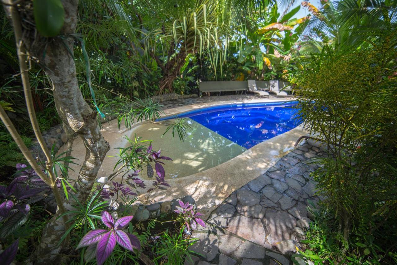 Villas Oasis Manuel Antonio Kültér fotó